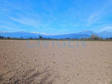 Parcela en venta  en CHIMBARONGO