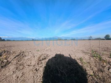Parcela en venta  en CHIMBARONGO