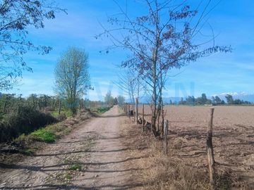 Parcela en venta  en CHIMBARONGO