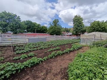 ESPECTACULAR  SITIO A LA VENTA  EN OSORNO PARA INVERSION