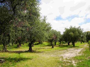 TERRENO EN VENTA, 4.496 m2 RUTA 60, MAIPÚ
