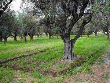 TERRENO EN VENTA, 4.496 m2 RUTA 60, MAIPÚ