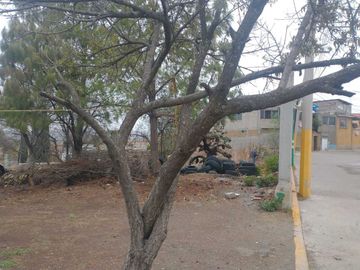 TERRENO EN VENTA SAN MIGUEL, TENANGO DEL AIRE