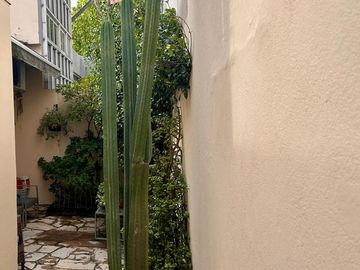 Casa en Lomas de Zamora