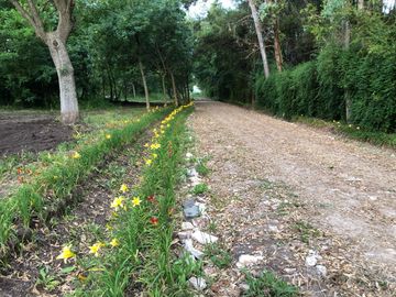 TERRENO EN VENTA-MORENO