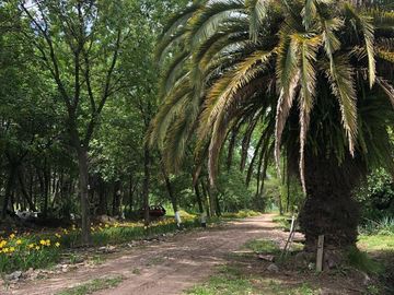TERRENO EN VENTA-MORENO
