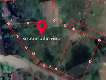 Land for sale in Pang Mu, Mae Hong Son