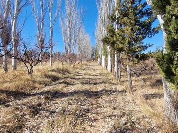 VENTA FINCA 10,8 HAS EN SAN ROQUE JACHAL