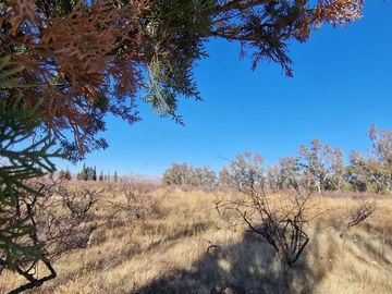 VENTA FINCA 10,8 HAS EN SAN ROQUE JACHAL