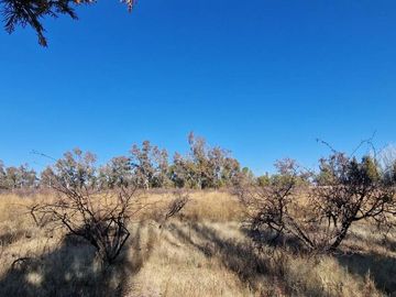 VENTA FINCA 10,8 HAS EN SAN ROQUE JACHAL