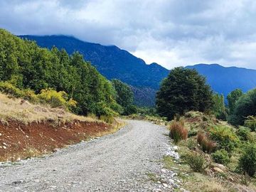 Parcela en venta  en PALENA