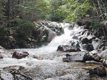 Parcela en venta  en PALENA