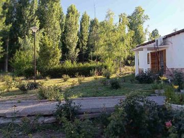FINCA 11,5 HAS. EN COLONIA LAS ROSAS - TUNUYÁN