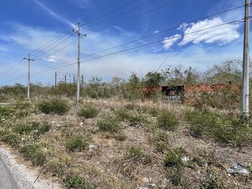 Renta de terreno en esquina carretera Mérida - Progreso.