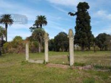 Terreno - Longchamps