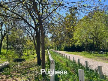 TERRENO EN VENTA-LA REJA MORENO