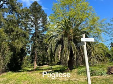 TERRENO EN VENTA-LA REJA MORENO