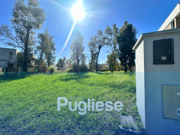 Terreno en venta en moreno francisco alvarez