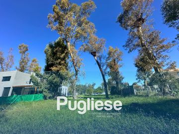 Terreno en venta en moreno francisco alvarez