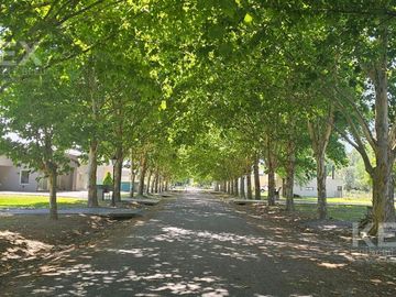 VENTA CASA A ESTRENAR EN HARAS DEL SOL | UNA PLANTA | LOTE 1500M² | APTO CRÉDITO