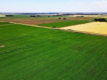 Campo 4 hectáreas / Miramar, Gral. Alvarado