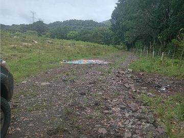 SE VENDE TERRENO 3 HECTAREAS EN EL ESPAVE RODEADO DE NATURALEZA