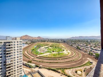 Alma Hipodromo [642-6]