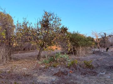 AMPLIO TERRENO EN VENTA SECTOR RESIDENCIAL QUILPUE