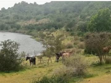 EN VENTA TREMENDA PARCELACIÓN DE 2 2 HECTÁREAS DE TERRENO