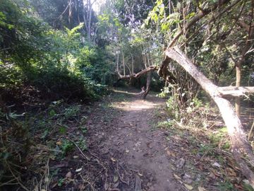 VENTA TERRENO 9667,20 M2 LOS PERALES