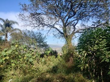 VENTA TERRENO 9667,20 M2 LOS PERALES