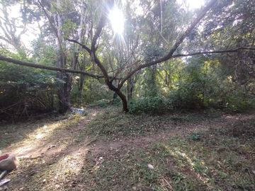 VENTA TERRENO 9667,20 M2 LOS PERALES