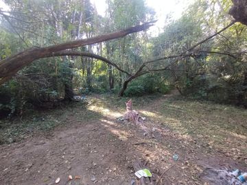 VENTA TERRENO 9667,20 M2 LOS PERALES