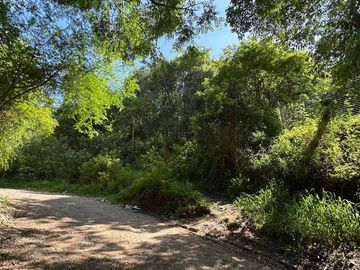 VENTA TERRENO 9667,20 M2 LOS PERALES
