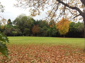 VENTA LOTE 13.300 M2 APTO DESARROLLO, ESCOBAR