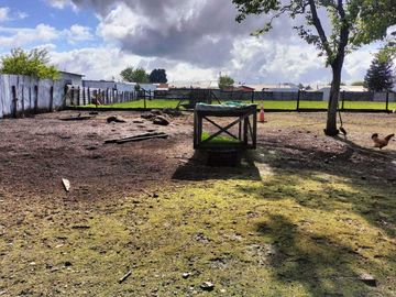 Parcela en venta  en LONCOCHE