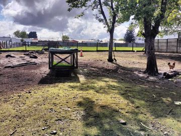 Parcela en venta  en LONCOCHE
