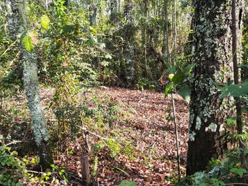 Parcela en venta  en VILLARRICA