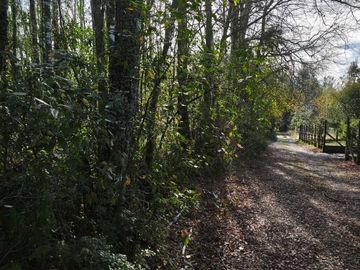 Parcela en venta  en VILLARRICA