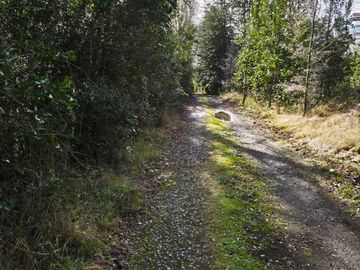 Parcela en venta  en VILLARRICA