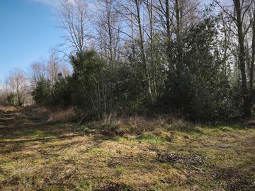 Parcela en venta  en VILLARRICA