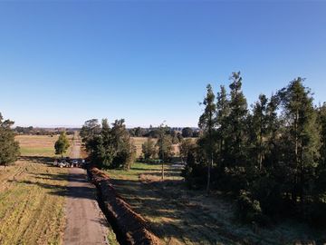 Parcela en Venta en HERMOSA PARCELA DE AGRADO 5.000 M2 NUEBA BRAUNA