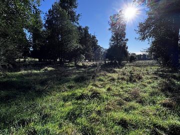 Parcela en Venta en HERMOSA PARCELA DE AGRADO 5.000 M2 NUEBA BRAUNA