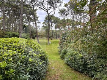 Casa - Carilo
