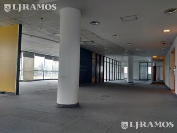 Oficina en alquiler en Florida