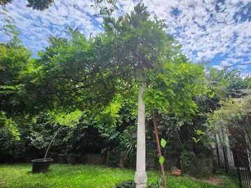 Casa chalet seis ambientes jardin a la venta en Wilde apto acepta permutas