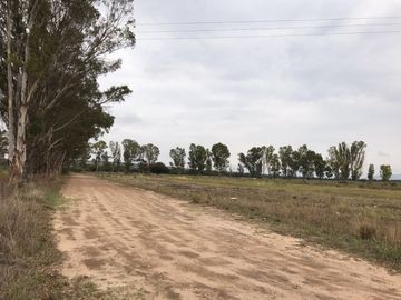 Terreno - Rancho o rancheria La Tortuga