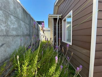 Casa en Arriendo en CASA EN VENTA ODILIO HORN, PUERTO VARAS