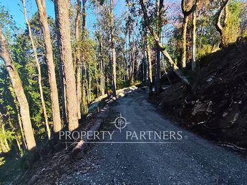 Exclusivo proyecto de solo 10 sitios con orilla de lago en Panguipulli