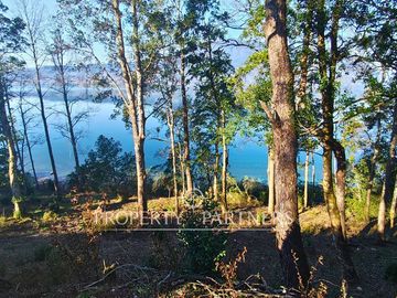 Exclusivo proyecto de solo 10 sitios con orilla de lago en Panguipulli